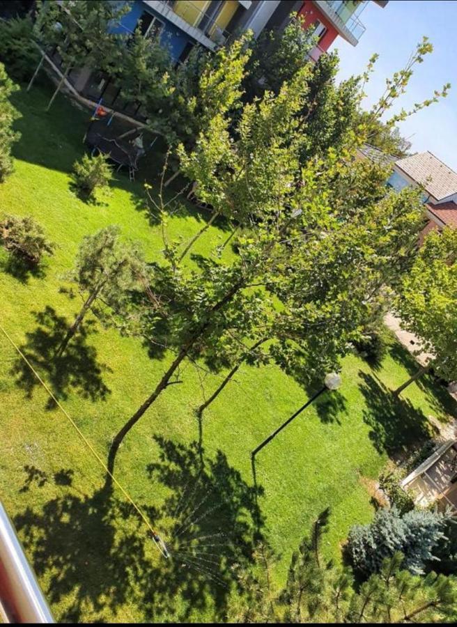 Tranzzit Airport Apartment II Otopeni Dış mekan fotoğraf